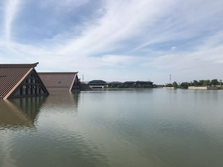 松江广富林寻根之旅