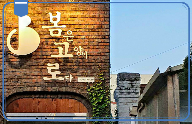 旅途中的短暫停留：大邱平價Guesthouse。