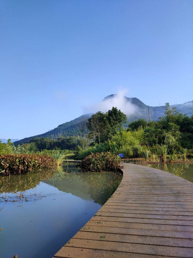 梵净山公园旅行图片 2