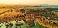 广富林郊野公园-上海-老老倪
