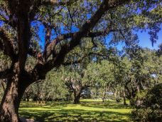 新奥尔良城市公园-新奥尔良