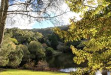 洛夫缔山顶景点图片