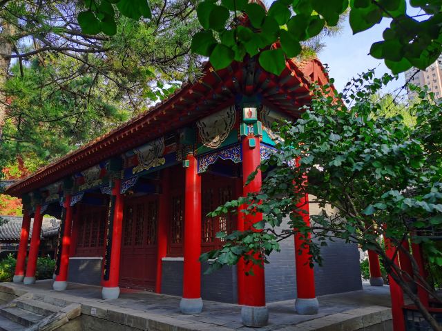 碑林公园旅行图片 4