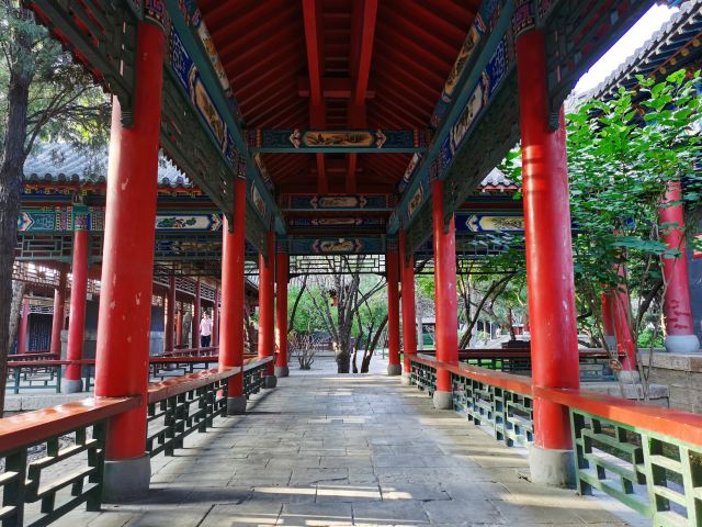 碑林公园旅行图片 3