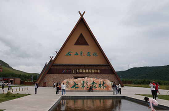 体验浪漫童话世界，去七彩森林看坝上绝美风景