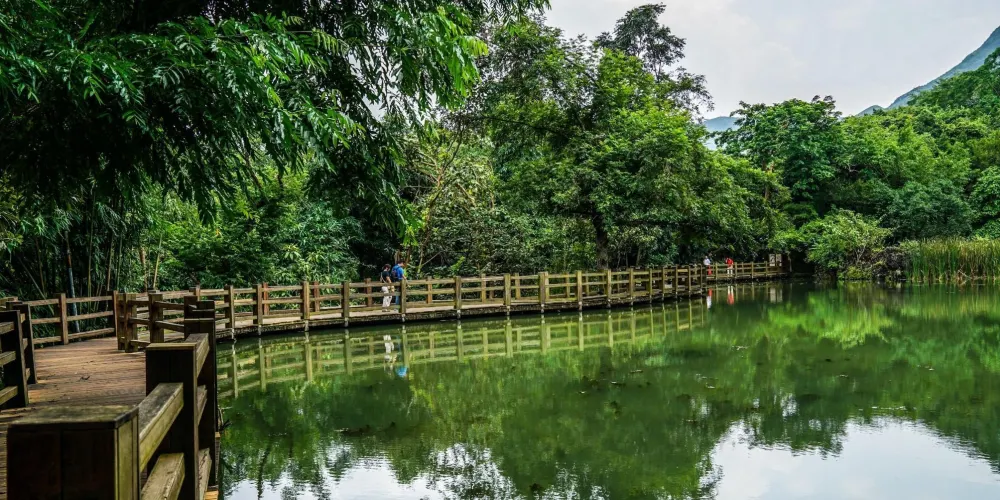 永安旅遊