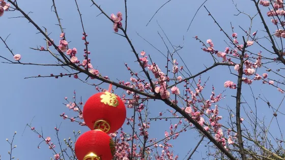 五峯景區
