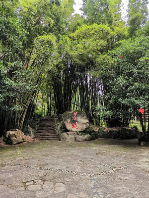 武夷山—峰回百转,九曲成溪