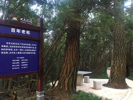 南川有个康养旅游度假胜地-乐村·兴茂康养旅游度假区游玩攻略