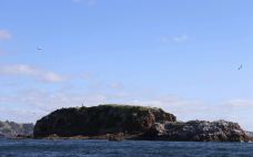 豪拉基湾-奥克兰-q****ky