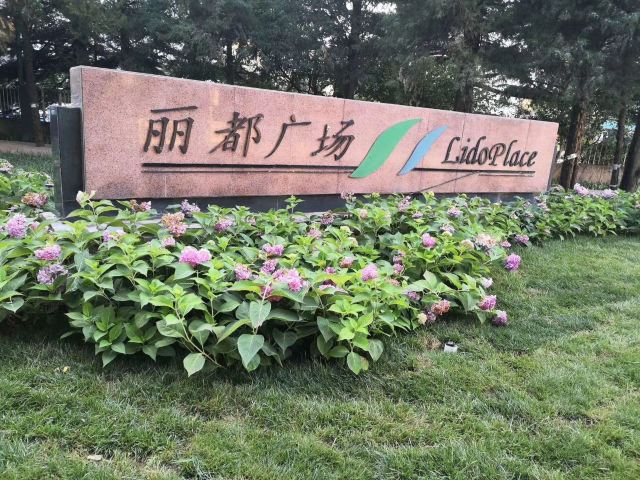 丽都花园旅行图片 1