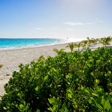 墨西哥墨西哥城+瓜纳华托+古巴哈瓦那+巴拉德罗+特立尼达+西恩富戈斯+梅里达+奇琴伊察+粉红湖+巴卡拉尔+坎昆19日18晚私家团