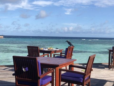 双鱼&amp;泰姬珍品，翡翠色的马代10日游