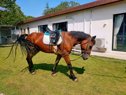 长兴岛、横沙岛二日小众休闲游