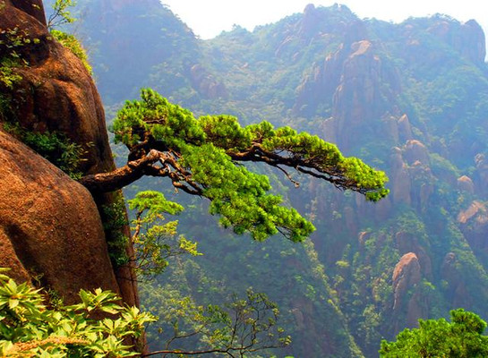 江西旅游:壮美三清山纪行(图)