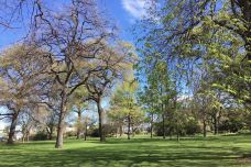 梦娜维尔花园-基督城-小凌60