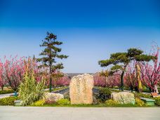 潘安湖国家湿地公园-徐州-C-IMAGE