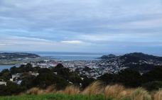 维多利亚山-惠灵顿-小小呆60