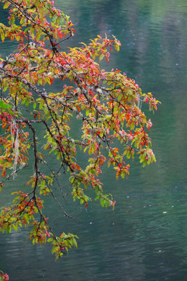2天1夜川西亲测路线｜初邂2020初秋第一波彩林红叶，泡天然温泉、游圣湖群山…
