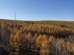 中国游记图片] 2020年国庆\中秋双节游木兰围场（御道口-塞罕坝-乌兰布统）