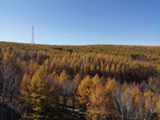 2020年国庆\中秋双节游木兰围场（御道口-塞罕坝-乌兰布统）