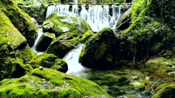 武當山南神道旅遊區