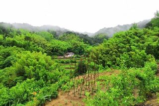 安徽“大别山”自驾游Day 1,走进霍山,享受慢生活