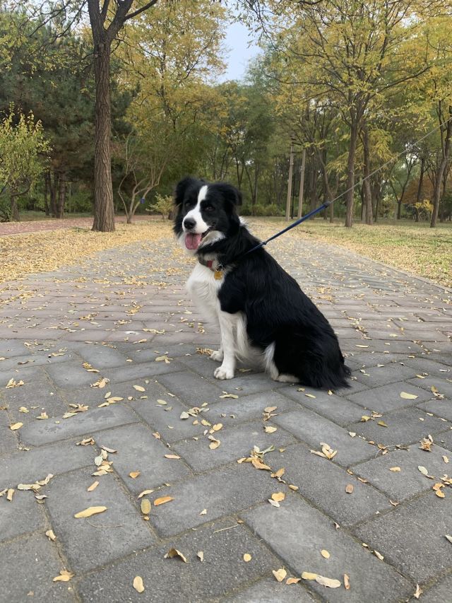 东坝公园旅行图片 15