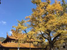 人间弥勒(雪窦寺)-宁波-酒仙老周