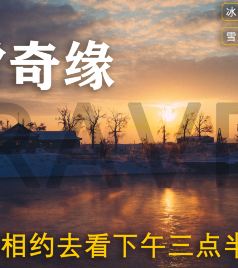吉林雾凇岛游记图文-东北雪乡丨2020年11月从东北雪景到三亚海景，跨越季节的探索体验