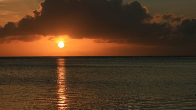 4-Day Miami Tour·Key West, South Beach, Everglades, Wynwood Walls, Miami Beach | Small Group