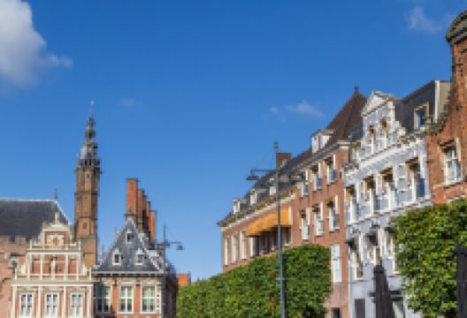 哈勒姆市政厅景点图片