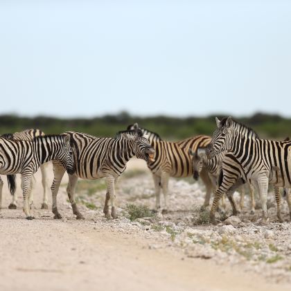 津巴布韦+赞比亚+博茨瓦纳+纳米比亚+南非+埃塞俄比亚20日17晚跟团游