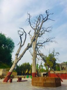 太昊伏羲陵文化旅游区-周口-蛙儿子