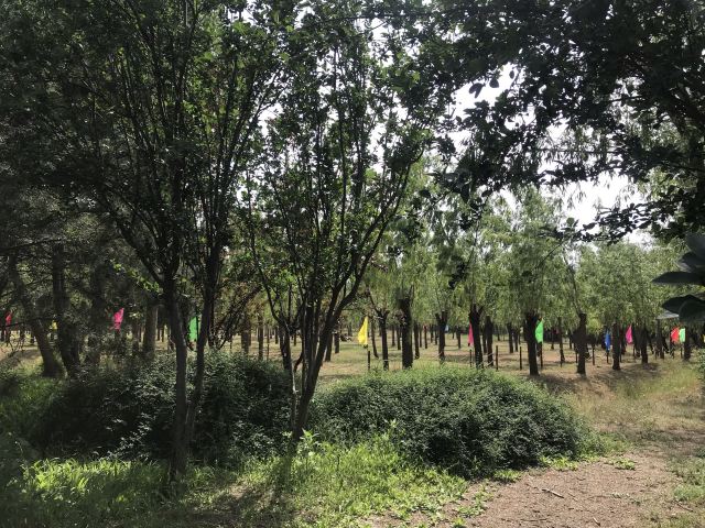 东坝公园旅行图片 3