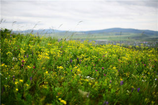 有趣的人生，一半在身边，一半在远方，旅行让你遇见更好的自己