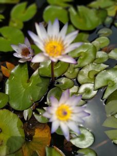 留云洞-霞浦-一路都是美景啊