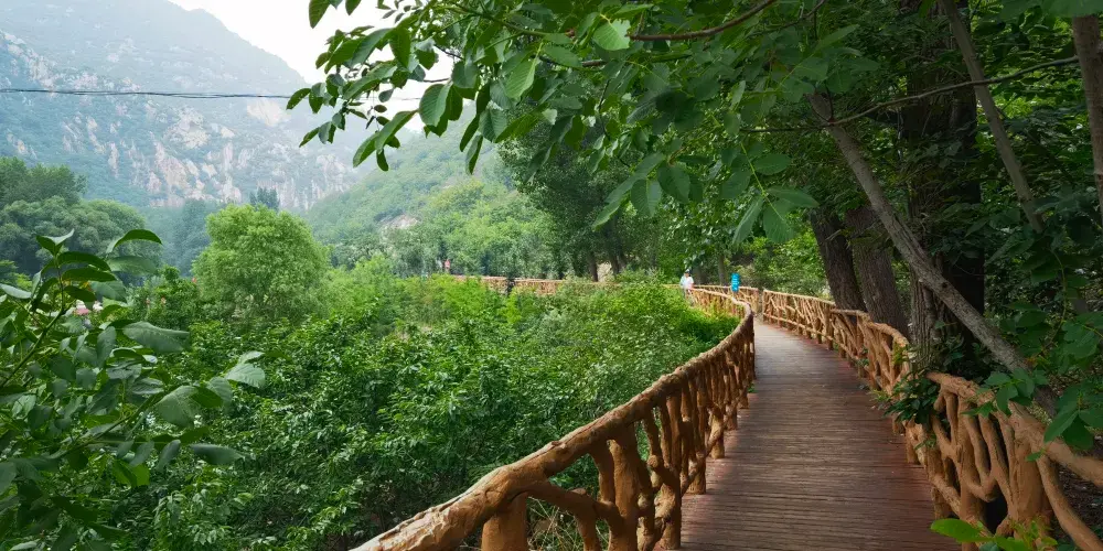 永安旅遊