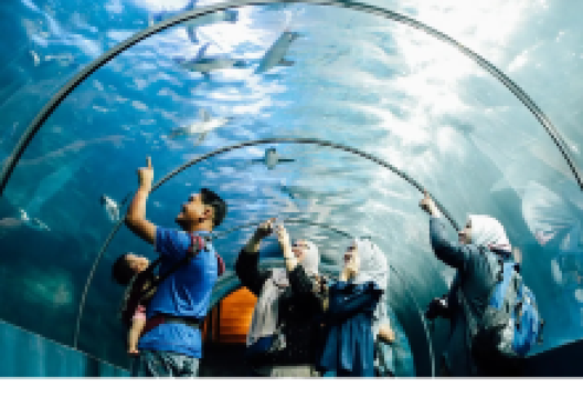 兰卡威海底世界景点图片