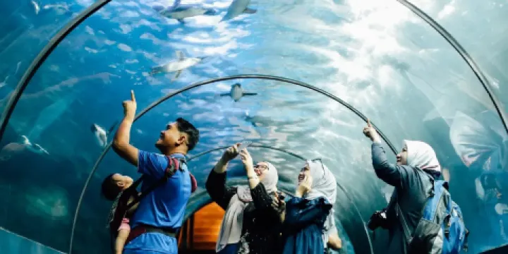 蘭卡威海底世界