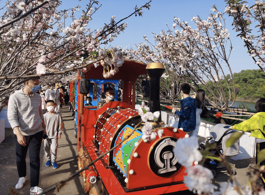 深圳周末好去处|观澜湖生态艺术园|深圳团建|旅游攻略