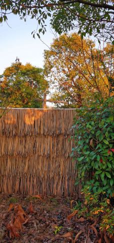 捺山地质公园-仪征-逍遥糊涂仙1971