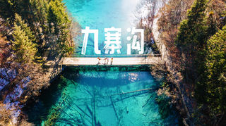冬日浪漫之旅,在翠海和蓝冰中与童话世界九寨沟重逢!