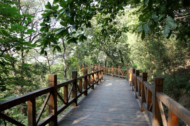 贝家花园旅行图片 11