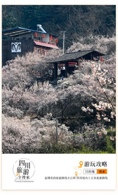 平武游记图片] 这个小城要火了！春天赏满城花海、吃特色美食，全家首选踏春地，一天耍完！