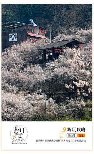 这个小城要火了！春天赏满城花海、吃特色美食，全家首选踏春地，一天耍完！