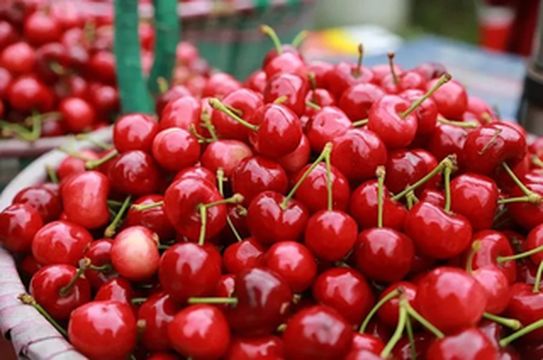 火热进行中！指尖一点，为汶川甜樱桃助力打call~