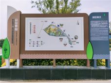 曹县黄河故道国家湿地风景区-曹县-C-IMAGE