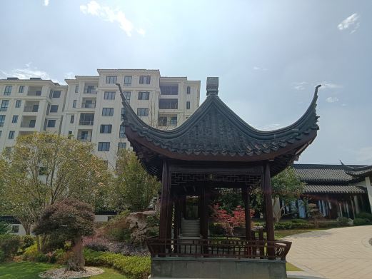 南湖公园
