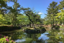 中村公园景点图片